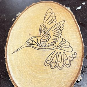 Ijsvogel